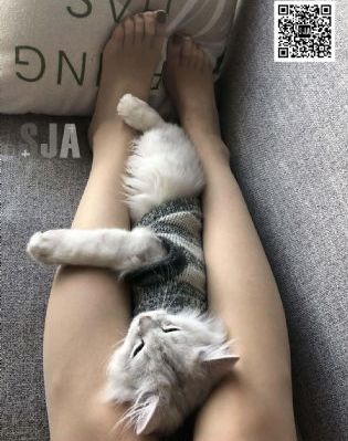 芭比之美人鱼历险记1中文版_BD英语免费观看韩国