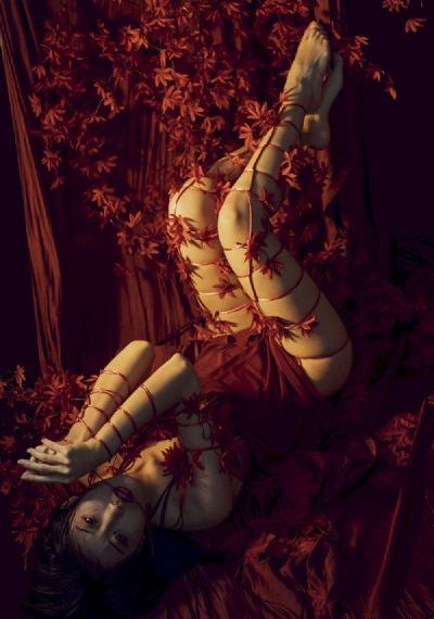 性生交大片免费看淑女出招_DVD免费电视剧